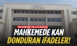 ‘Seni öldüreceğim’ dedi, 50 kez bıçakladı! Mahkemede kan donduran ifadeler…
