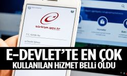 e-Devlet'te en çok kullanılan hizmet belli oldu!