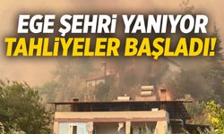 Ege şehri yanıyor! Tahliyeler başladı...