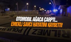 Otomobil ağaca çarptı... Emekli savcı hayatını kaybetti!