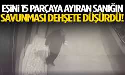 Eşini 15 parçaya ayıran sanığın savunması dehşete düşürdü!