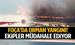 Foça’da orman yangını! Ekipler havadan ve karadan seferber oldu!