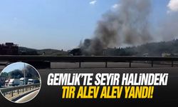 Gemlik'te seyir halindeki tır alev alev yandı