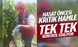 Manisa’da hasat öncesi kritik hamle: Tek tek kontrol ediliyor!