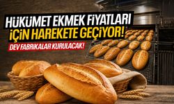 Hükümet ekmek fiyatları için harekete geçiyor!