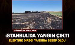 Elektrik direğini keserken yangın çıkarttılar!