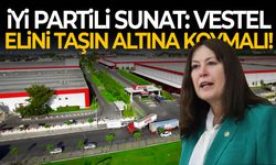 İYİ Partili Sunat: Vestel elini taşın altına koymalı!