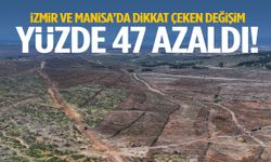 İzmir ve Manisa’da dikkat çeken değişim! Yüzde 47 azaldı
