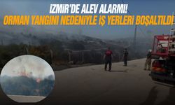 İzmir'de alev alarmı! Orman yangını nedeniyle iş yerleri boşaltıldı
