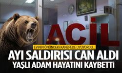 İzmir’de korkunç olay! Kanepede uyurken ayı saldırdı
