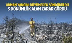 İzmir’de orman yangını büyümeden söndürüldü