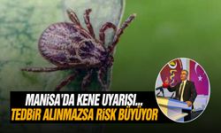 Manisa'da kene uyarısı: "Tedbir alınmazsa risk büyüyor"