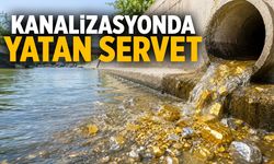 Kanalizasyondan servet akıyor! Her yıl 43 kilo altın ve 3 ton gümüş...