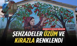 Şehzadeler üzüm ve kirazla renklendi