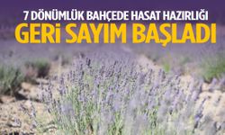 Manisa’da 7 dönümlük bahçede hasat hazırlığı! Geri sayım başladı