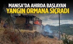 Manisa’da ahırda başlayan yangın ormana sıçradı!