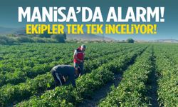 Manisa’da alarm verildi! Ekipler tek tek denetliyor
