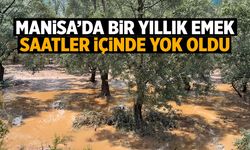 Manisa'da bir yıllık emek saatler içinde buhar oldu!