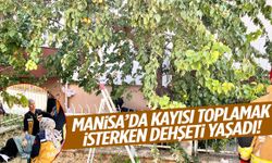 Manisa’da kayısı toplamak isterken dehşeti yaşadı! Demir korkuluğa…