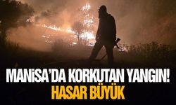 Manisa'da korkutan yangın! Hasar büyük