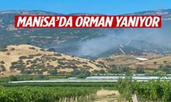 Manisa’da orman yanıyor!