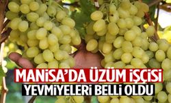 Manisa’da üzüm işçilerinin yevmiyeleri belli oldu!