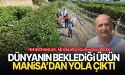 Manisa’da yeni sezon başladı! Milyonlarca dolar kasaya girecek