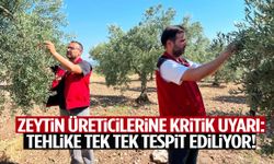Manisa’da zeytin üreticilerine kritik uyarı: Tehlike tek tek tespit ediliyor