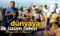 Manisa'dan dünyaya ilk üzümler yola çıktı
