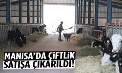 Manisa’da çiftlik satışa çıkarıldı!
