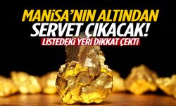 Manisa’nın altından servet çıkacak! Listedeki yeri dikkat çekti...