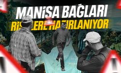 Manisa’nın bağları risklere karşı hazırlanıyor!
