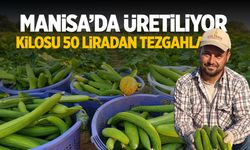 Manisa'nın en doğal ürünlerinden... 50 liraya tezgaha çıktı!