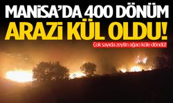 Manisa’da 400 dönüm arazi kül oldu!