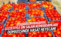 Manisa’nın meşhur lezzetinde hasat başladı!