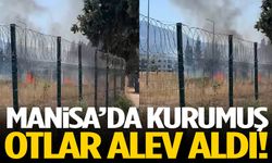 Manisa’da kurumuş otlar alev aldı!