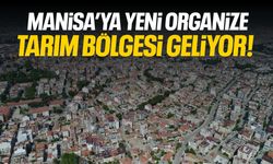 Manisa'ya yeni organize tarım bölgesi geliyor!