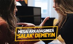 Mesai arkadaşınıza 'salak' demeyin!