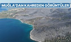 Muğla'dan kahreden görüntüler!