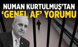 Numan Kurtulmuş'tan 'genel af' yorumu!