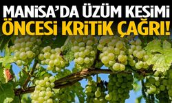 Manisa’da üzüm kesimi öncesi kritik çağrı!
