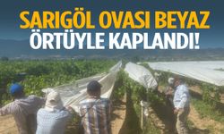 Sarıgöl Ovası beyaz örtüyle kaplandı!
