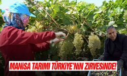 Manisa tarımı Türkiye'nin zirvesinde