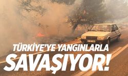 Türkiye yangınlarla boğuşuyor! Güzel haberleri gelmeye başladı...