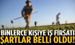 Binlerce kişiye iş fırsatı! Şartlar belli oldu…