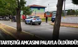 Tartıştığı amcasını palayla öldürdü