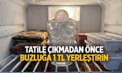 Tatile çıkmadan önce buzluğa 1 TL koyun