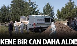 Kene bir can daha aldı! 2 çocuk babası hayatını kaybetti!