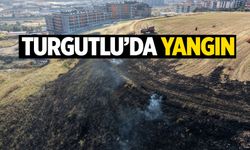 Turgutlu'da yangın! Zeytinliğe sıçradı