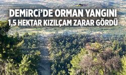 Yangında 1.5 hektarlık kızılçam ormanı zarar gördü